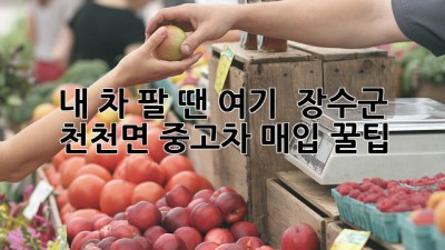 내 차 팔 땐 여기! 🚗💨 장수군 천천면 중고차 매입 꿀팁